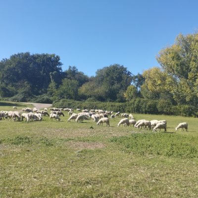 via-appia-guide-nature
