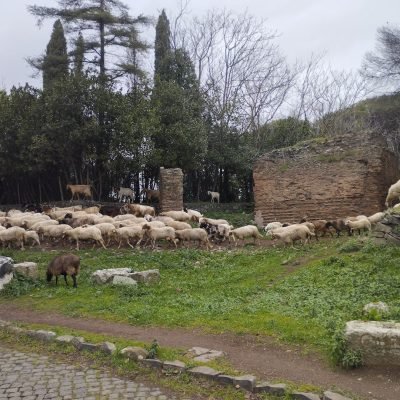 via-appia-guide-tombs